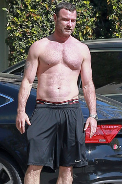 shirtlessmalecelebs:  Liev Schreiber