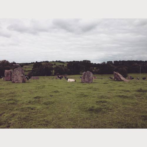 Stanton Drew Stonecircle #vacation #glastonbury #england #stonecircle #stantondrew #pagan #paganism 