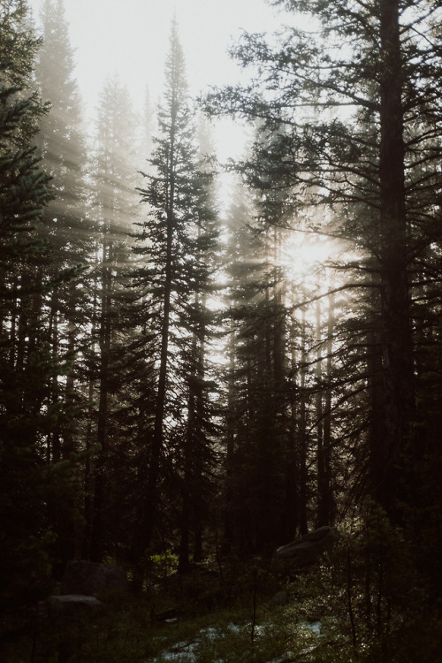CT Day 10 - 20 milesAfter last night’s barrage of hail and thunder, we woke up exhausted. We p