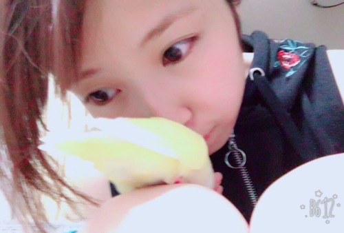 akanemachurida:  Twitter 17/08/18 It was the first time I’ve ever been a cameraman for a gravure shoot!📷 The magazine has some of my gravure in it, but this basically means that I’m no longer an idol gravure prospect for the future, but rather