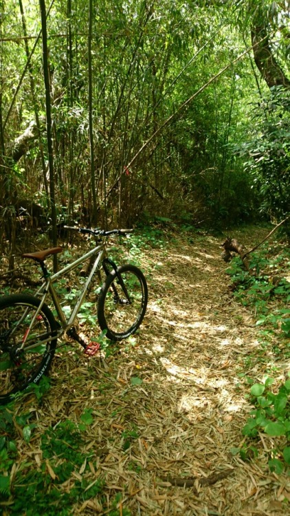 krs955:trail ride after the trail work.