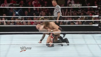Hot submission holds by Daniel Bryan and Randy Orton. The moans both these guys were