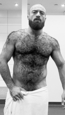thebearunderground:  mydaddyishairy:   My Daddy is Hairy - over 53,000 followers: Archive    Follow The Bear Underground Over 31,000 pics/vids of the hottest hairy men around the globe. 