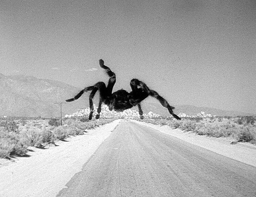 mendenlama:  Tarantula (1955)