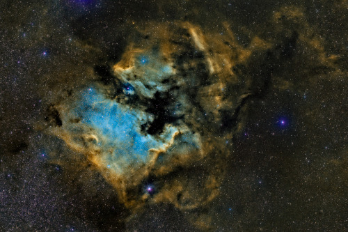 spaceexp:  NGC 7000, North American NebulaSource: Urlaubsknipser (flickr)