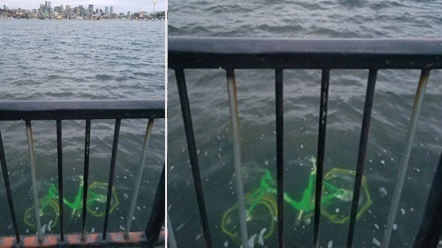 ohkobunny:  jumpingjacktrash:  househunting:  so there’s a new bikeshare program