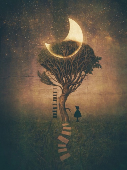 bestof-society6: ART PRINTS BY ERIKA C. BROTHERS House  Sky ride  Thought to the Moon Path to 