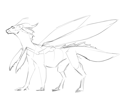 I Had A 7 Hour Flight Yesterday And Had The Time To Doodle My Other Old Fantribes, So PrayWings Next!