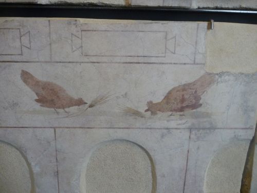 Palazzo Massimo - Fresco details 5Rome, July 2015