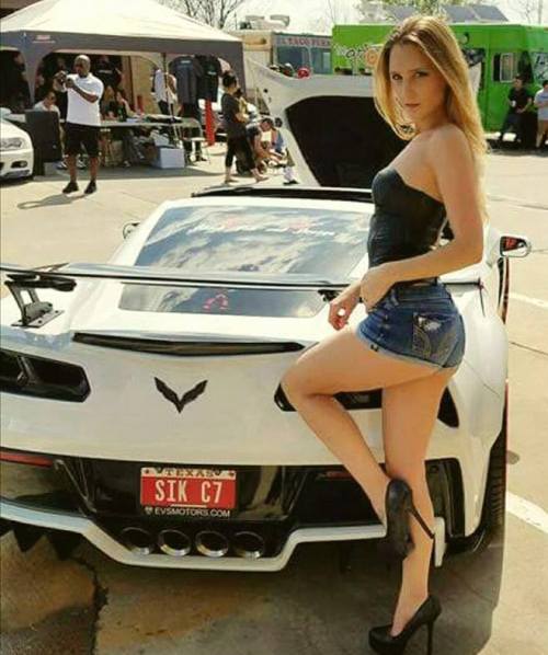 Porn Pics VEHICLE VIXENS