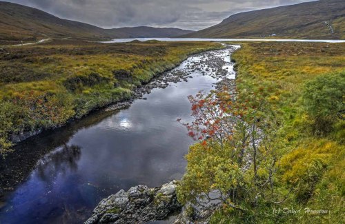 highlandfocus: Alt nan Albannach burn, West Merkland, Sutherland