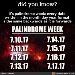 did-you-kno:  It’s palindrome week: every date  written in the month-day-year format  is the same backwards as it is forwards.  Source