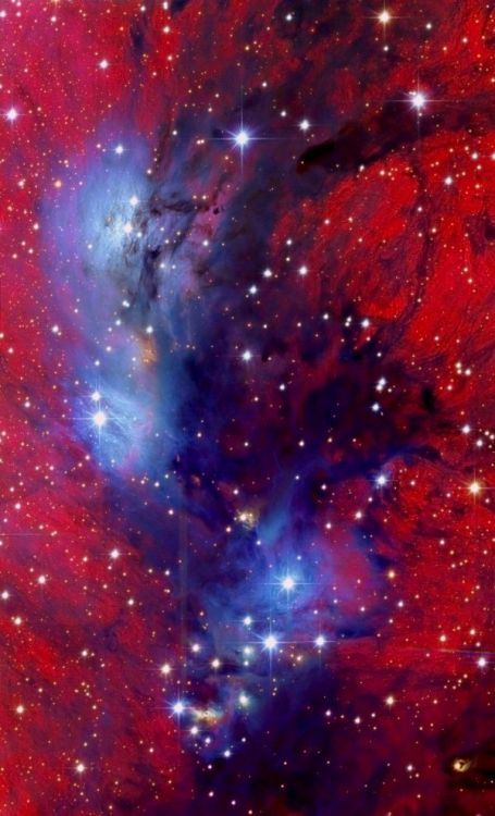 NGC 6914 in the constellation Cygnus