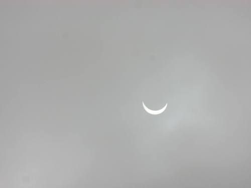 n-ightin-gale: Solar Eclipse march 20th 2015, Sassenheim, The Netherlands credits for the picture go