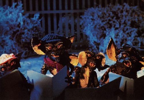 XXX 80sloove:  Gremlins  photo