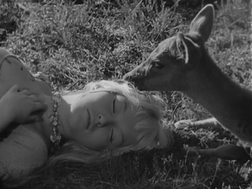 weltschmerzzz: La sorcière aka The Blonde Witch (Andre Michel, 1956)