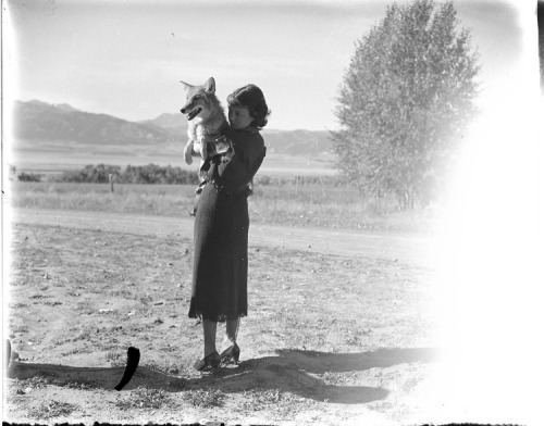 Girl Holding A Coyote, Photographed By Charles Belden Between 1914-1940 | Via Boy Howdy
