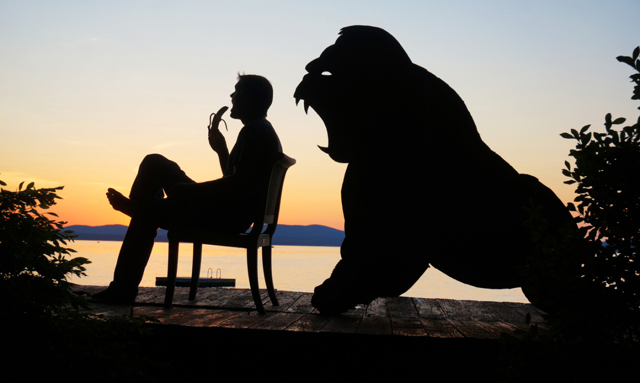 tastefullyoffensive:  Sunset Selfies by John Marshall  “This collection started