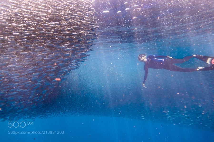 socialfoto:我的自由潜  by db904504b4016836d0716e6bb87b42563