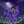 beaxellent:The still box Entry 74Thanks for submitting!