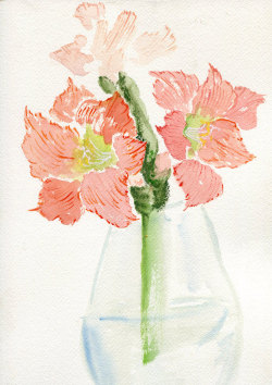 havekat: Big Blooms Watercolor and Gouache On Cotton Paper 9&quot;x 12&quot;, 2015 Apricot Amaryllis  