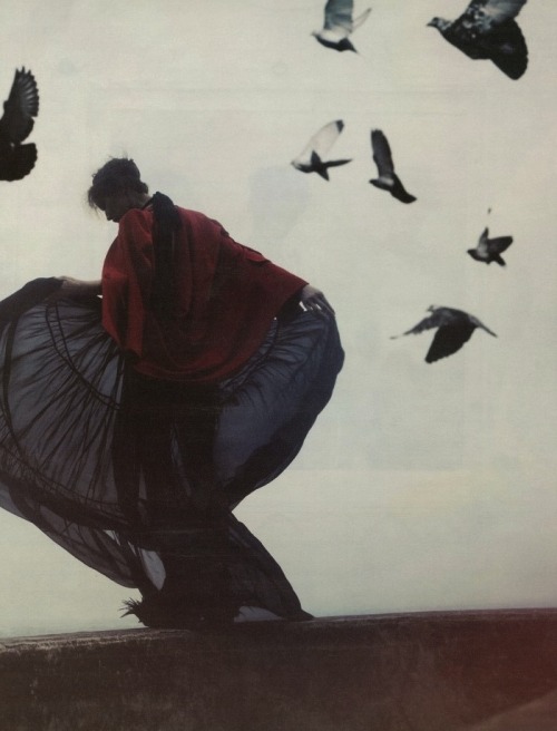 exhumations:  take a stroll into fantasy, sera park for w korea magazine, march 2012 
