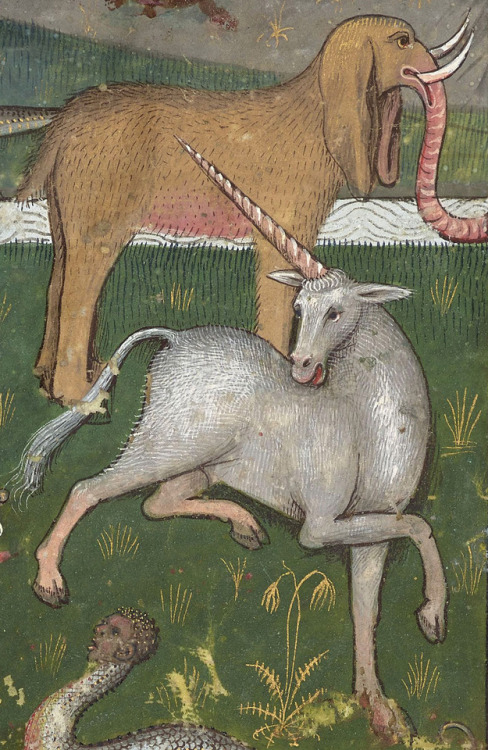discardingimages: wildlife of EthiopiaLe secret de l'histoire naturelle, France ca. 1480-1485BnF, Fr