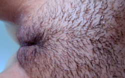 brettc:  Brett likes the close ups.