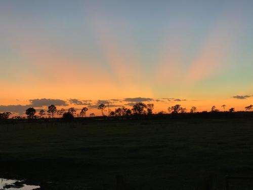 just-daily-sky: Check out our sky blog - ift.tt/2DgqrtM Sunset on an evening ride in Florida