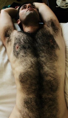 Hairy gay men