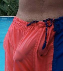 Just Bulge