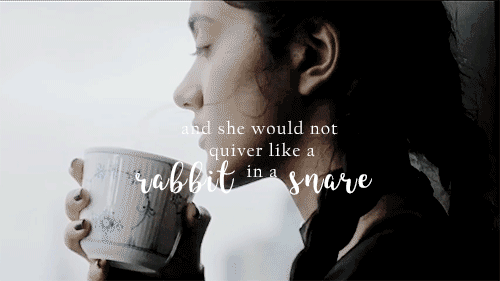 homesickstars: ya lit meme: 5/9 quotes