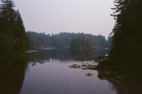 XXX churchrummagesale:Quadra Island photo