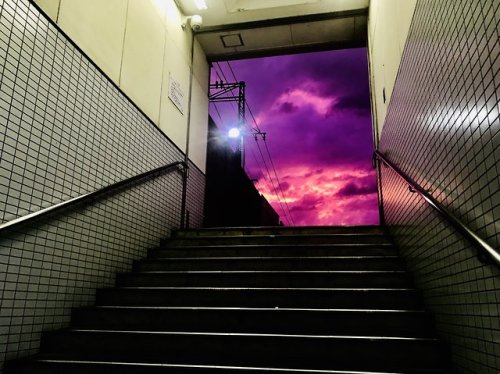Insider: 12 Oct, In Japan, the sky turned purple due to typhoon Hagibis. This peculiar weather 