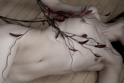 brookelynne: ahimsa | self-portraits •✧{ more here }✧• 