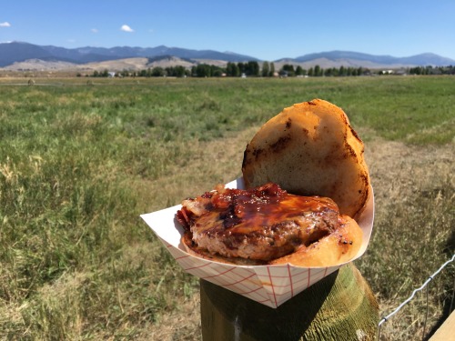 #foodtripping road trip memories: Bitterroot Bison in Missoula, MontanaToday we learnt: there is a b