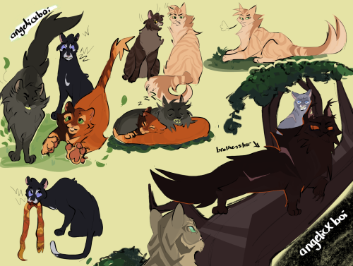 i’m re reading the first arc of warrior cats,,, funky lil cats