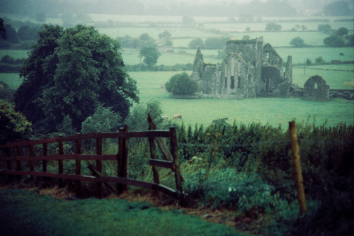 brigantias-isles: Hore Abbey near the Rock of Cashel, County Tipperary, Republic of Ireland. ‘
