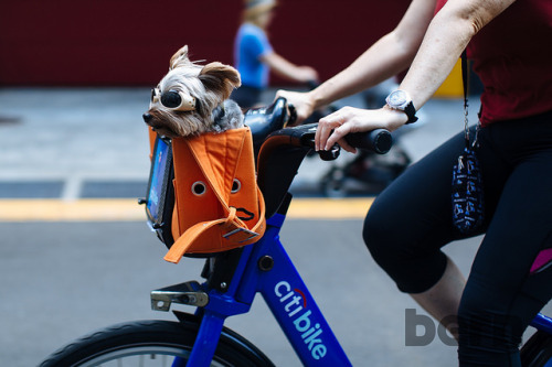 evastrange:Summer Streets 2014 Bike Portraits by Dmitry Gudkov on Flickr.