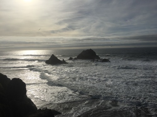 sutro baths