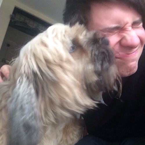 dantry-deactivated20151206:  best of 2014: dan selfies 
