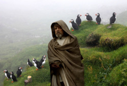 ghostkitten69:  screaming-towards-apotheosis:  thexlastxjedi:  lukeskywalkersdepressionsnuggie: leaked set photo from the last jedi THANK YOU FOR DOING THE LORD’S WORK AND LEAKING THIS TO US.   day 1348 the birds still think I am one of them    #no