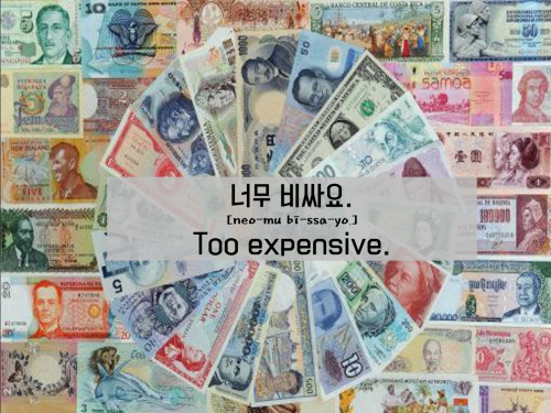 [Learn Korean] 너무 비싸요. =Too expensive.