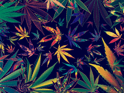 mary-jane-in-wonderland.tumblr.com/post/127835644168/
