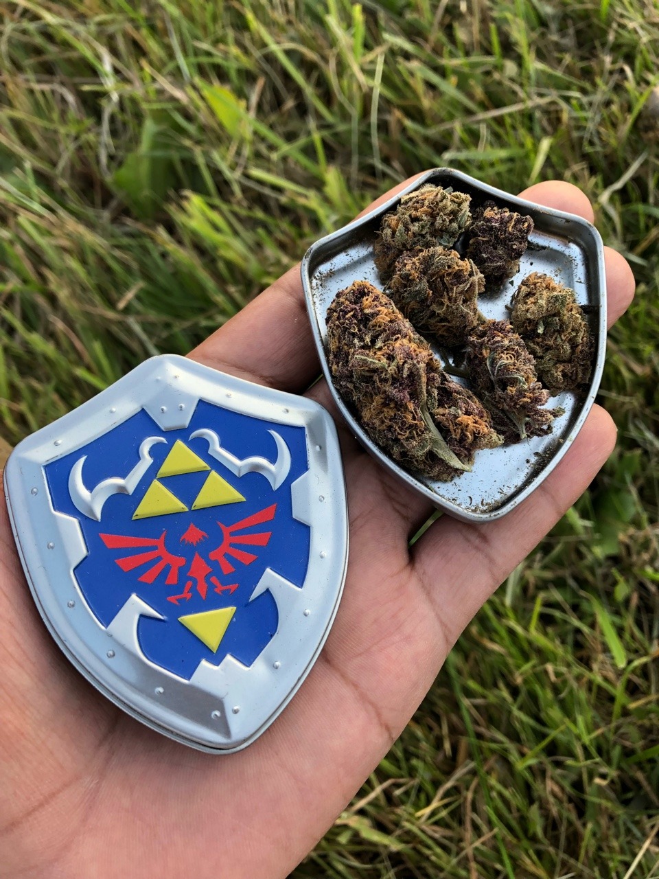 kameha8088:Smoking dat Korok kush 🍀