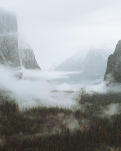 shawn-f:Misty mornings in Yosemite Instagram - Shawn_f