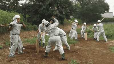 gifsboom:  Video: Japan’s Highly Skilled Professionals 