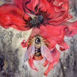 shadowscapes-stephlaw: “ #Bumblebee ”