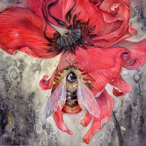 shadowscapes-stephlaw:“ #Bumblebee ”#bee #insect #poppyflower #watercolor