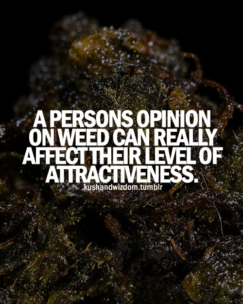 kushandwizdom:  Good Vibes HERE